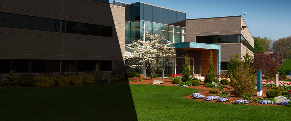 Mount Dora Landscapers