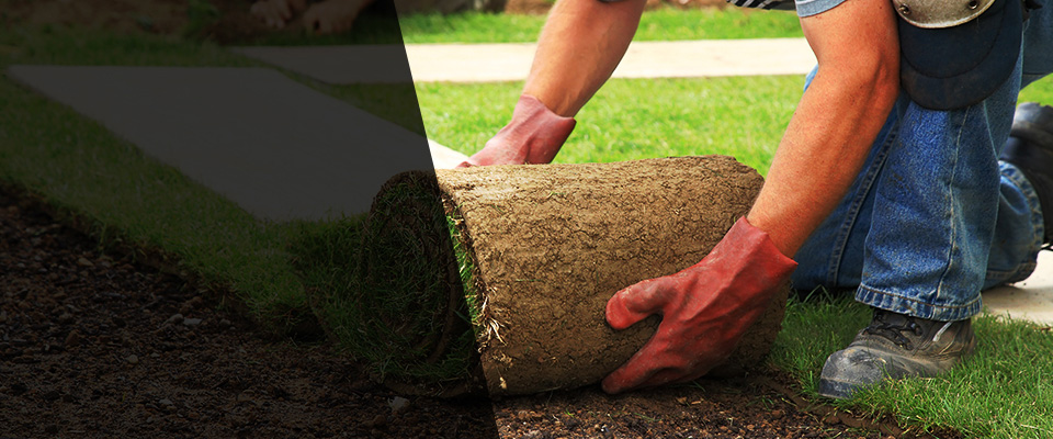 Mount Dora Landscapers